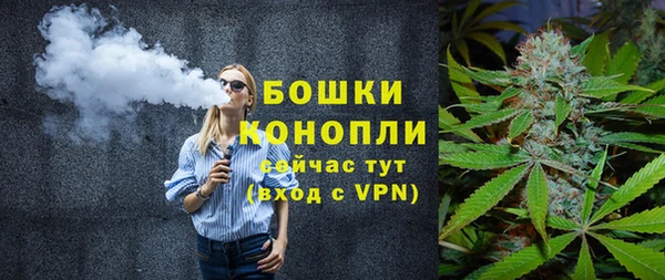 индика Елизово
