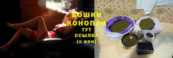 ГАЛЛЮЦИНОГЕННЫЕ ГРИБЫ Заволжск