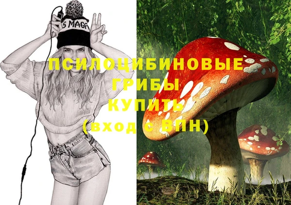 шишки Зеленодольск
