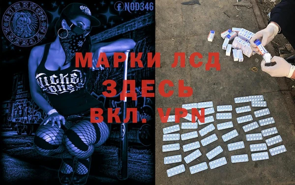 ГАЛЛЮЦИНОГЕННЫЕ ГРИБЫ Заволжск