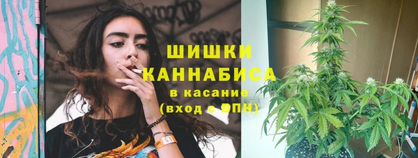 ГАЛЛЮЦИНОГЕННЫЕ ГРИБЫ Заволжск