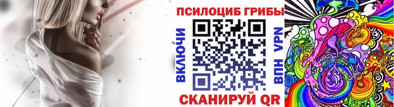 Купить закладки  Родники  Псилоцибиновые грибы Psilocybe 